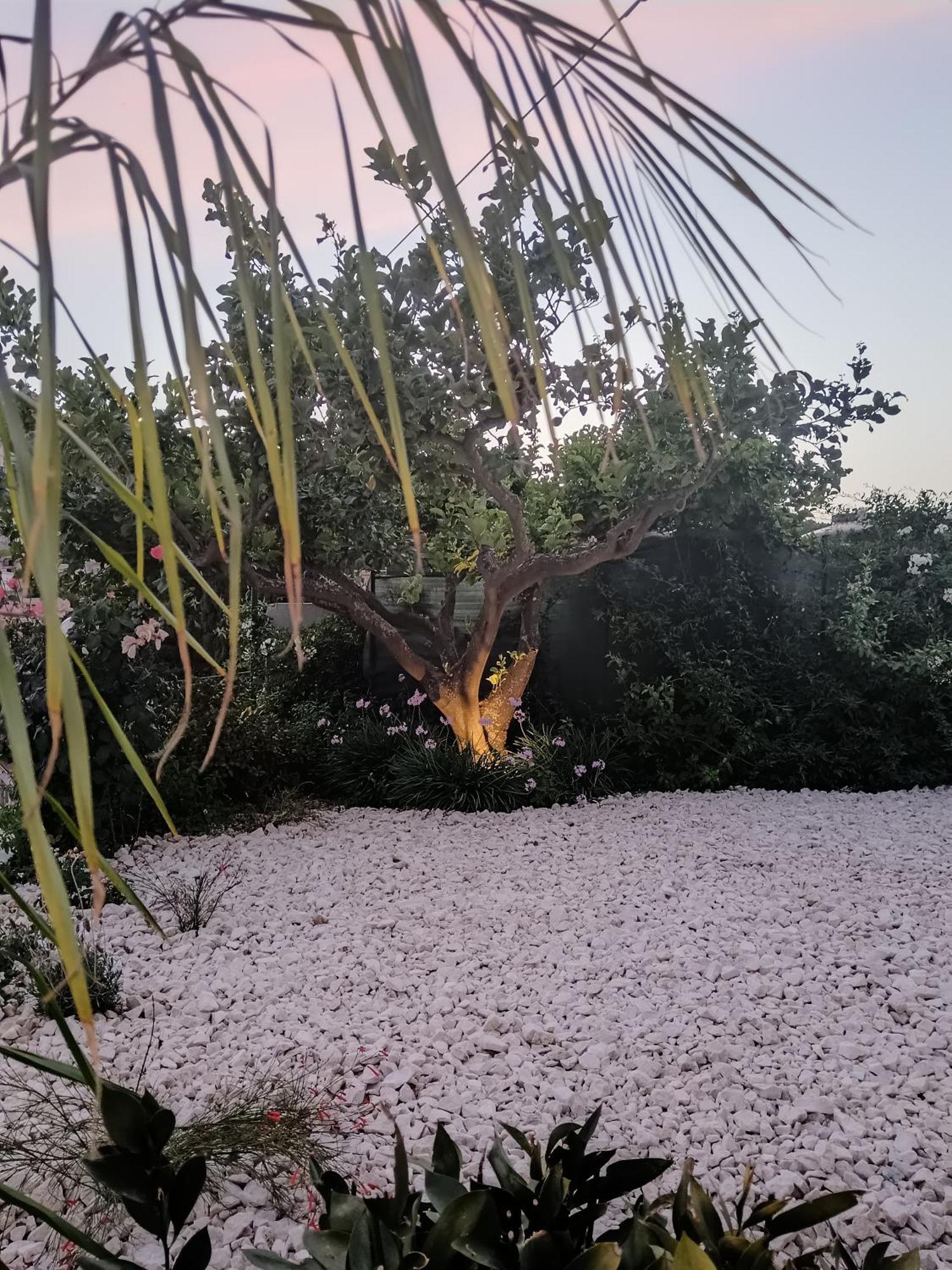 My Sicily Home - Casa Con Giardino Salemi Экстерьер фото